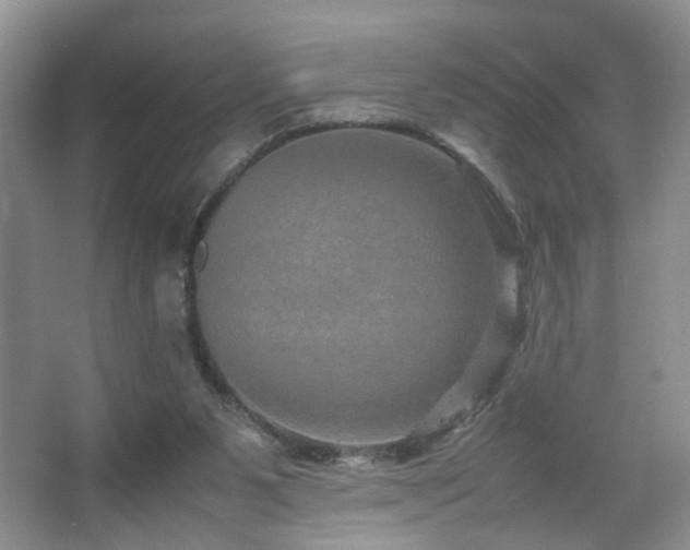 X0000067500111200604071236