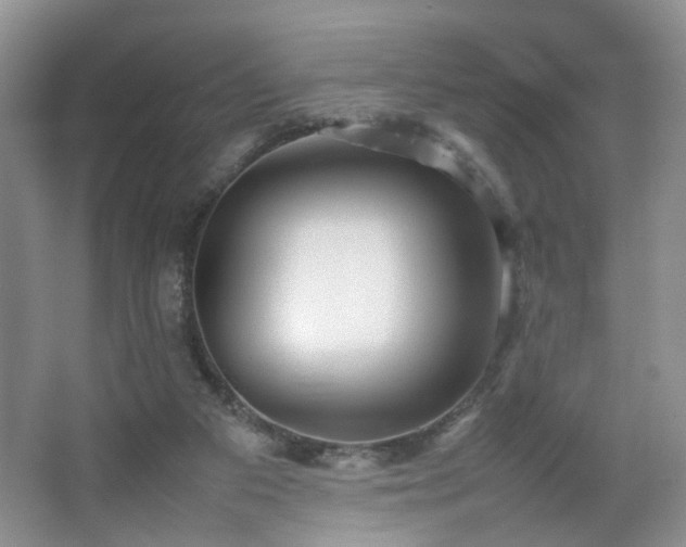 X0000067500113200604071236