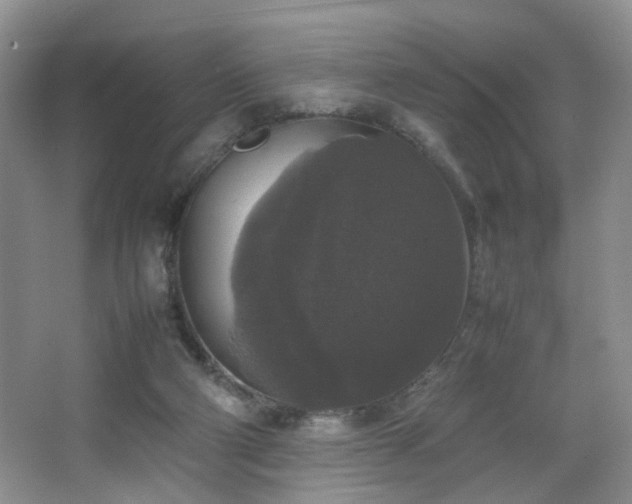 X0000067500114200604071236