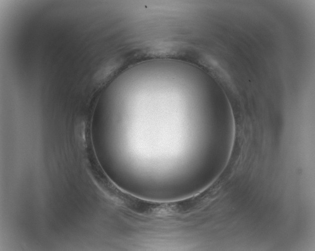 X0000067500115200604071236