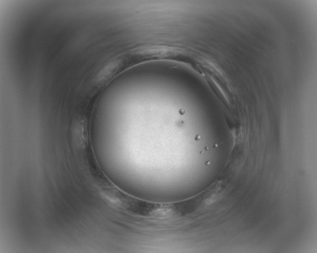 X0000067500119200604071236