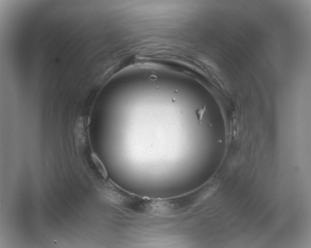 X0000067500121200604071236