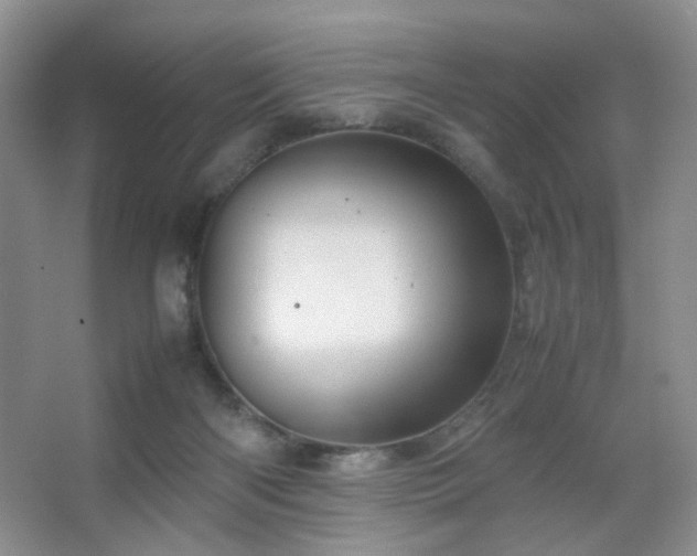 X0000067500122200604071236