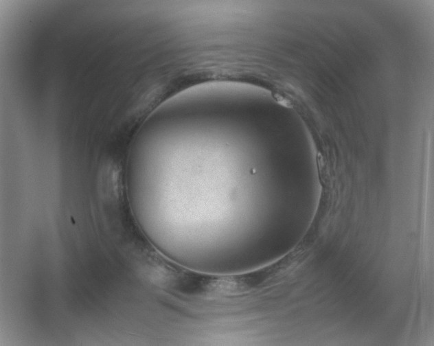 X0000067500123200604071236