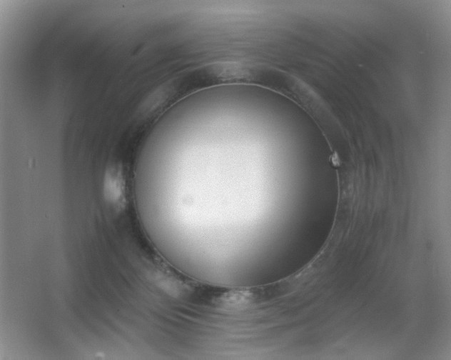 X0000067500124200604071236