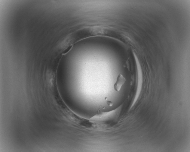 X0000067500125200604071236