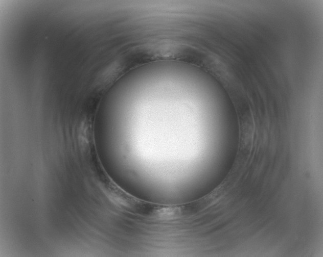 X0000067500126200604071236