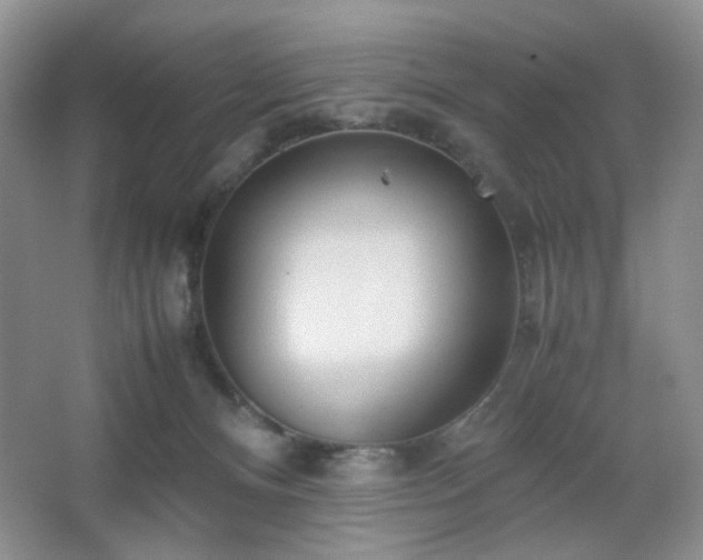 X0000067500128200604071236