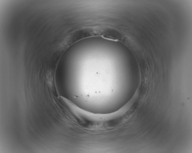 X0000067500129200604071236