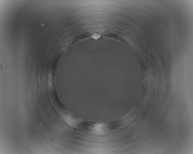 X0000067500130200604071236