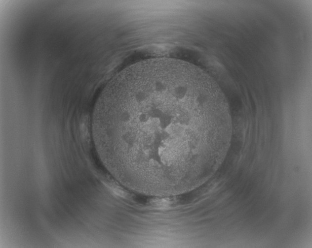 X0000067500131200604071236