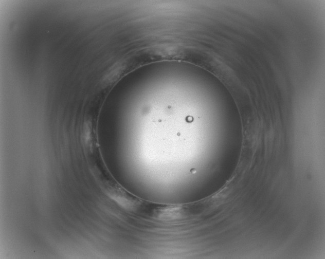 X0000067500132200604071236