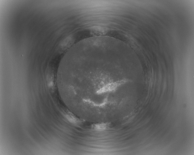 X0000067500134200604071236