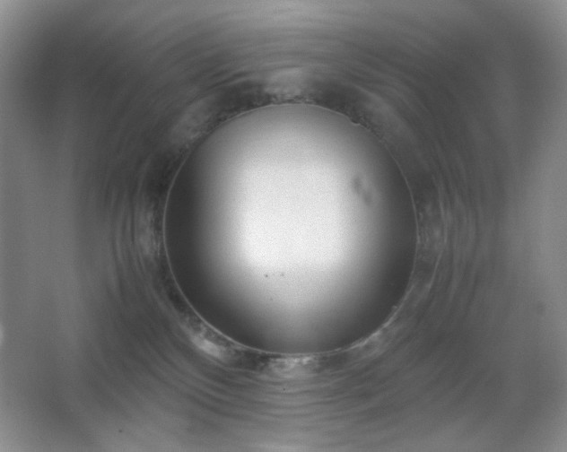 X0000067500136200604071236