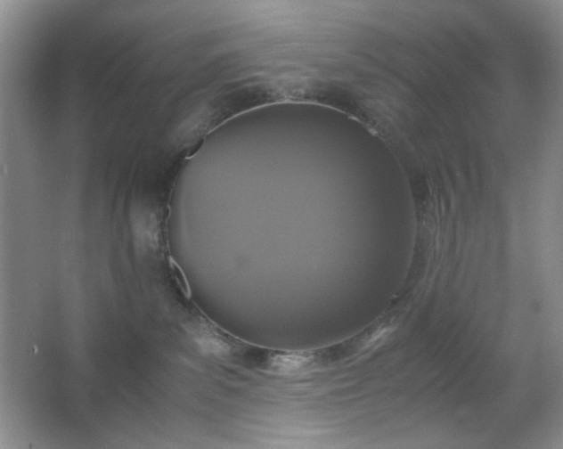 X0000067500139200604071236