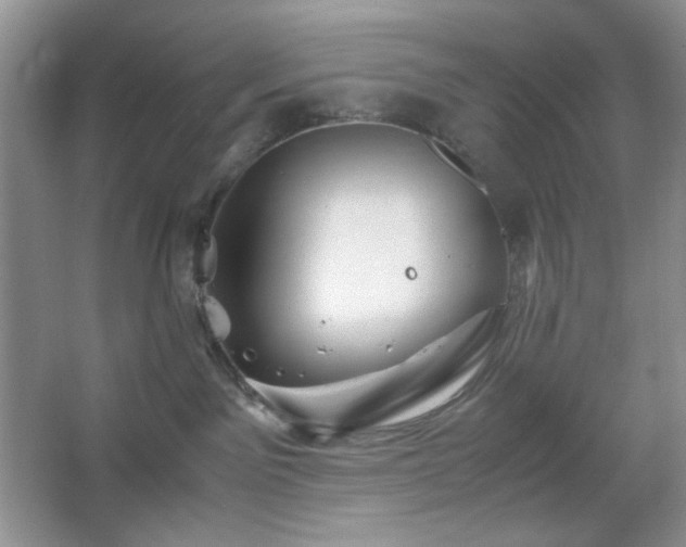 X0000067500141200604071236