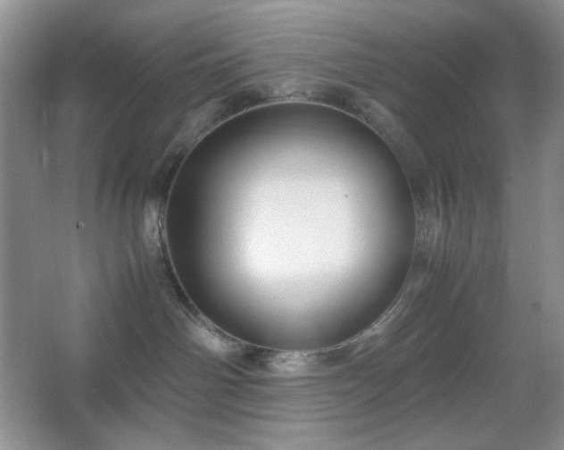 X0000067500142200604071236