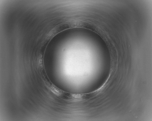 X0000067500144200604071236