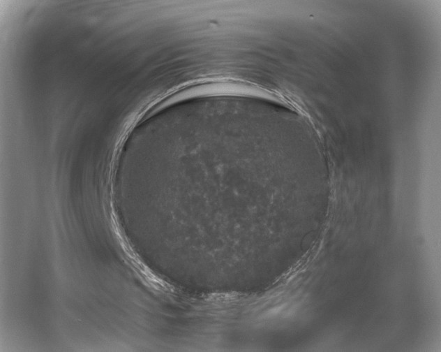 X0000067500145200604071235