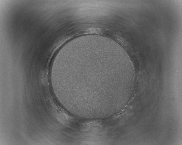 X0000067500146200604071235