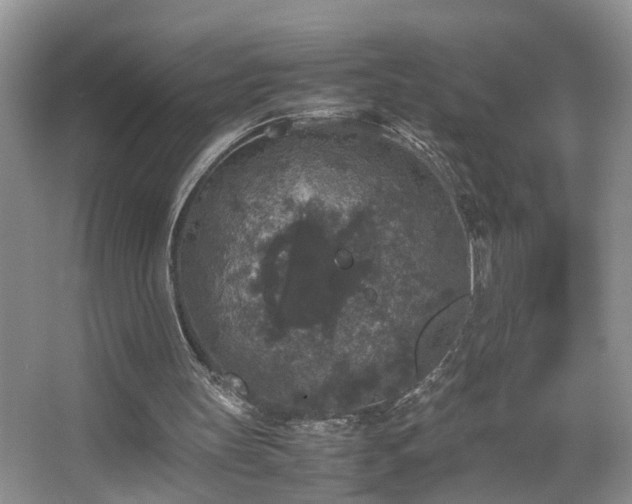 X0000067500147200604071235