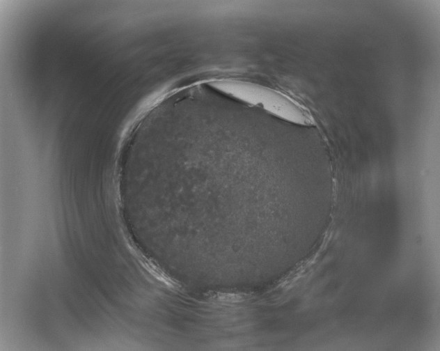 X0000067500149200604071235