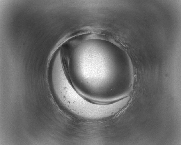 X0000067500150200604071235