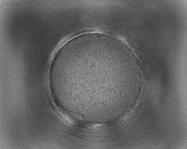 X0000067500151200604071235