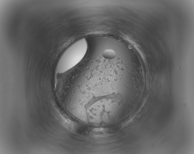 X0000067500153200604071235