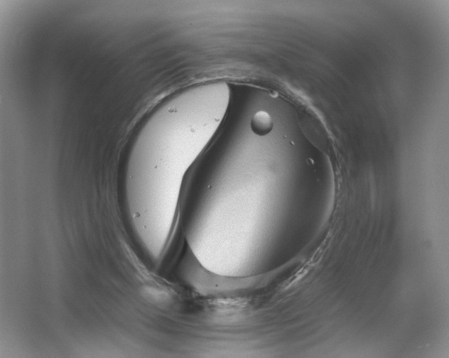 X0000067500154200604071235