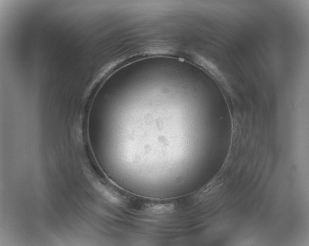 X0000067500155200604071235