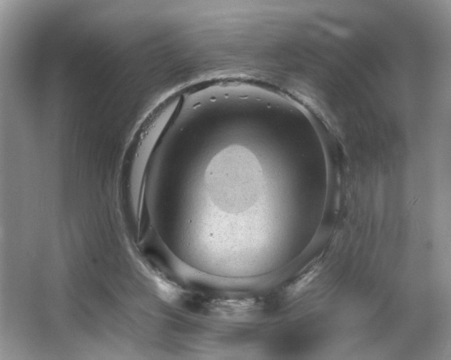 X0000067500156200604071235