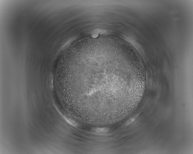 X0000067500157200604071235