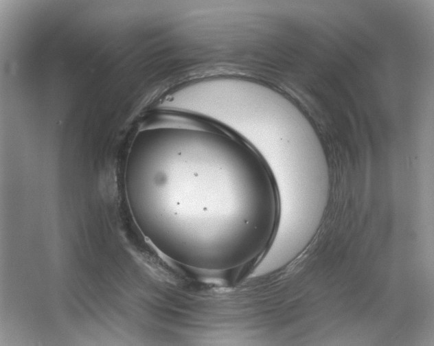 X0000067500158200604071235