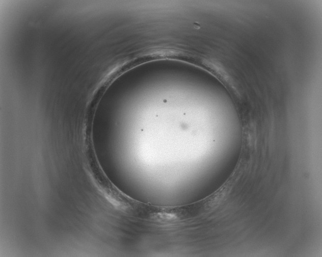 X0000067500159200604071235