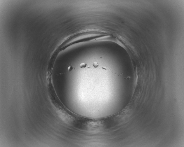 X0000067500160200604071235