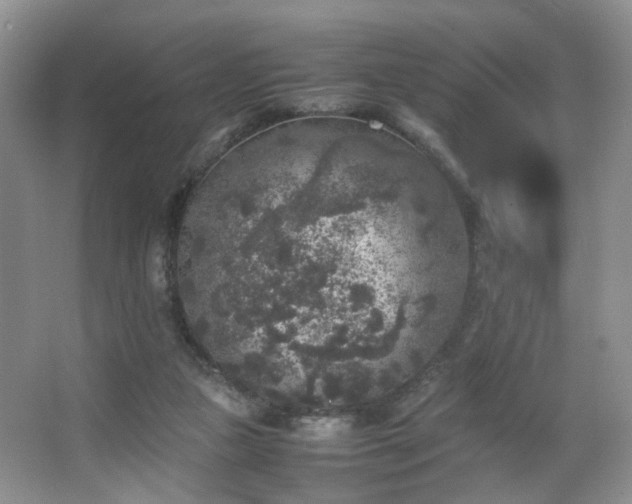 X0000067500161200604071235