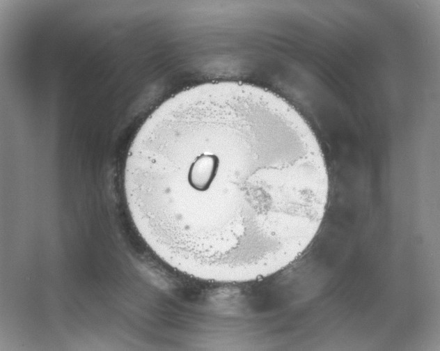 X0000067500162200604071235