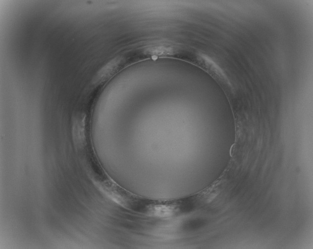 X0000067500163200604071235