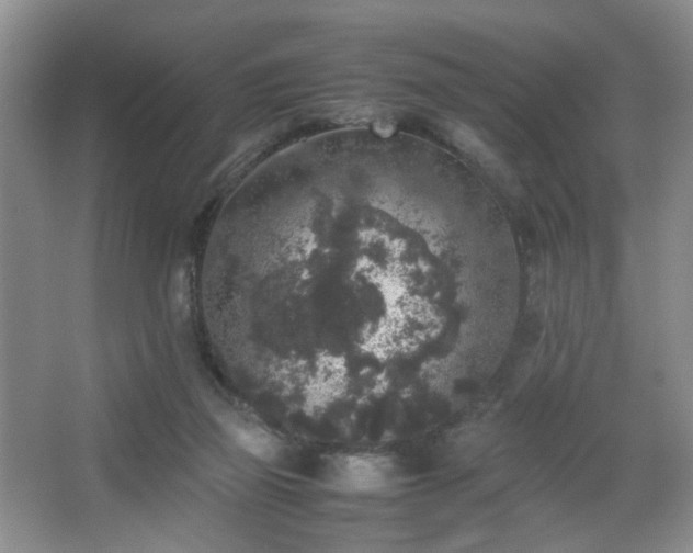 X0000067500165200604071235