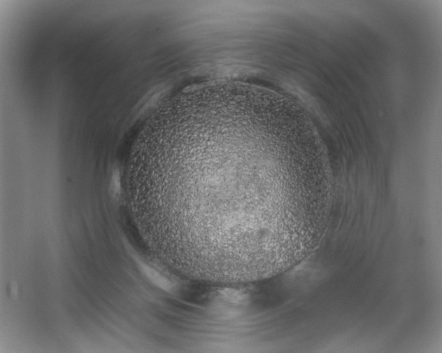 X0000067500166200604071235