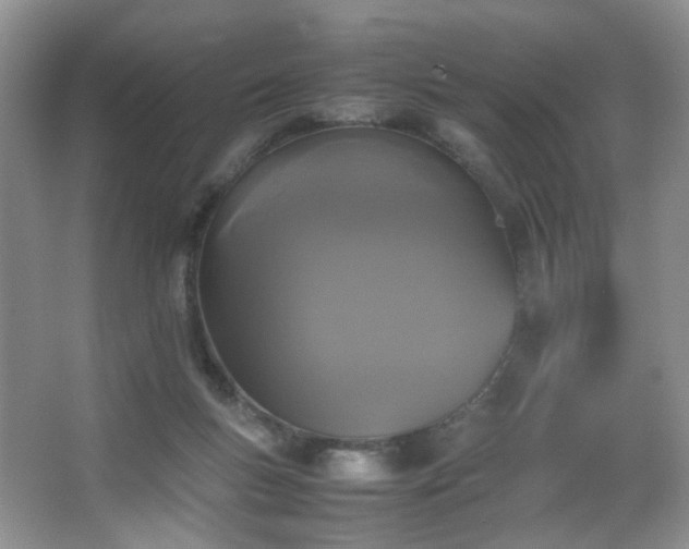 X0000067500167200604071235