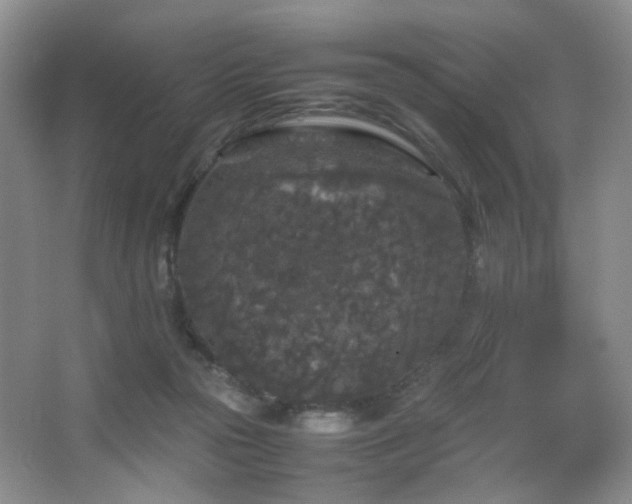 X0000067500169200604071235