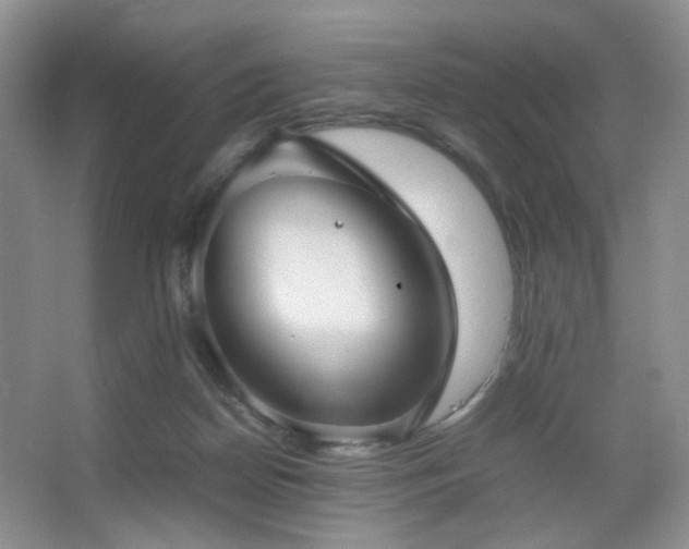 X0000067500170200604071235