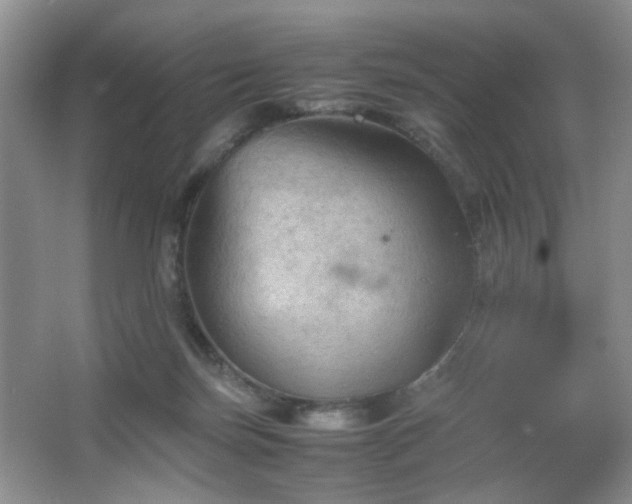 X0000067500171200604071235