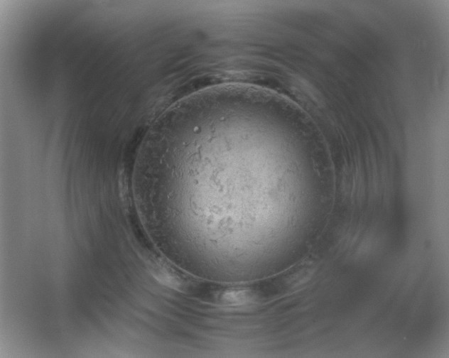 X0000067500173200604071235