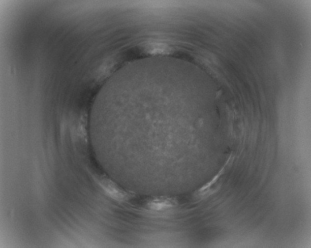 X0000067500175200604071235