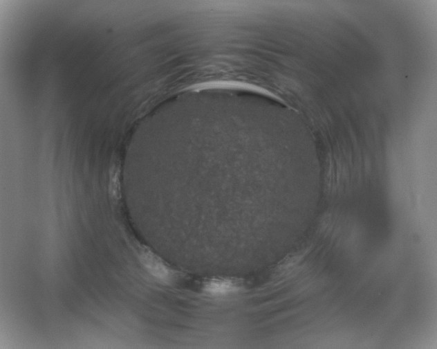 X0000067500177200604071236