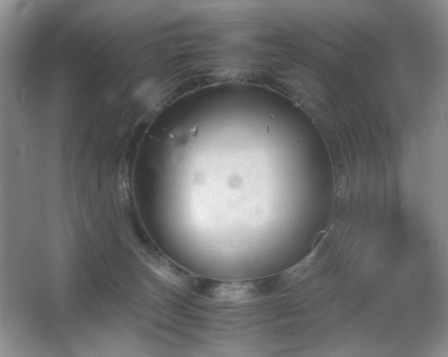 X0000067500179200604071236