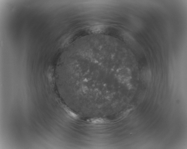 X0000067500181200604071236